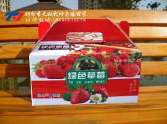 草莓盒